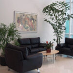 Plants in office waiting room