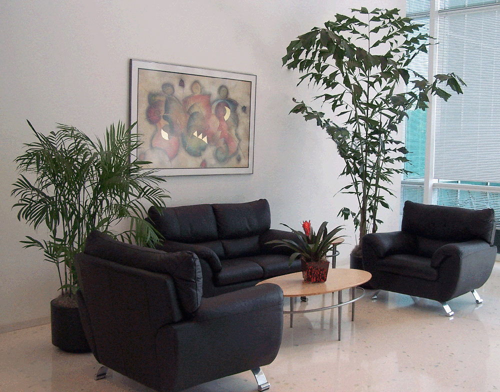 Plants in office waiting room