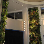 Custom office plantscape wall