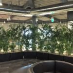 Vertical plants inside spaced evenly apart