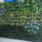 Greenwall installed in the office