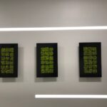 Three framed moss wall selections on a gray wall