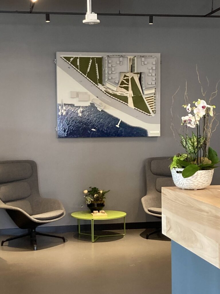 Office plants on table and front desk