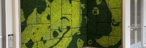 Office moss wall
