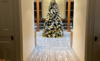 Christmas Tree in Office