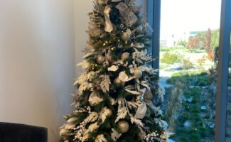 Christmas Tree Office Decor