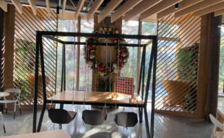 Holiday Wreath in Office