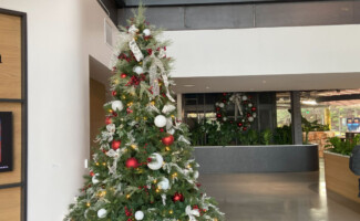 Office Christmas Tree