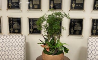 Office plant interior design