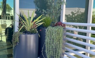 Office exterior plant design