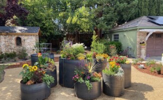 Plant Exterior Design