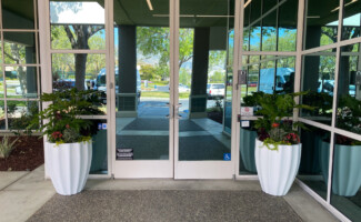 Exterior Office Plants
