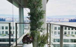 Office plant rentals