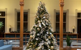 Office Christmas tree