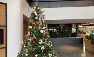 Christmas Tree in Office