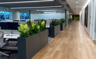 office plant rentals