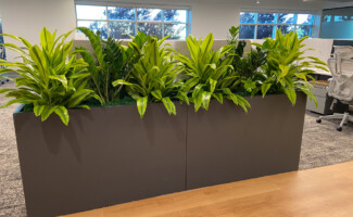 office plant installation