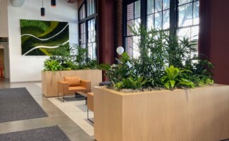Office plant design