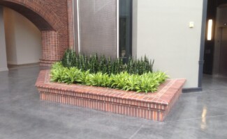 exterior plant design