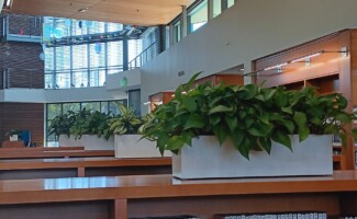 interior plant design