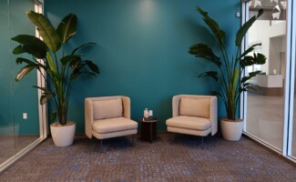 Office Plant Design