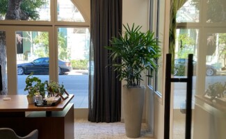 Office Plant Rentals