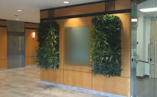interior office plants