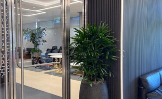interior office plants