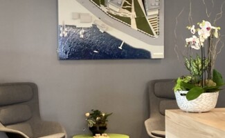 Office plants on table and front desk