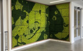 Office moss wall